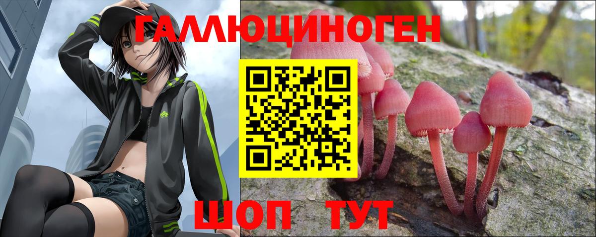 Электрогорск  Псилоцибиновые грибы прущие грибы  купить  цена  Вход с VPN 