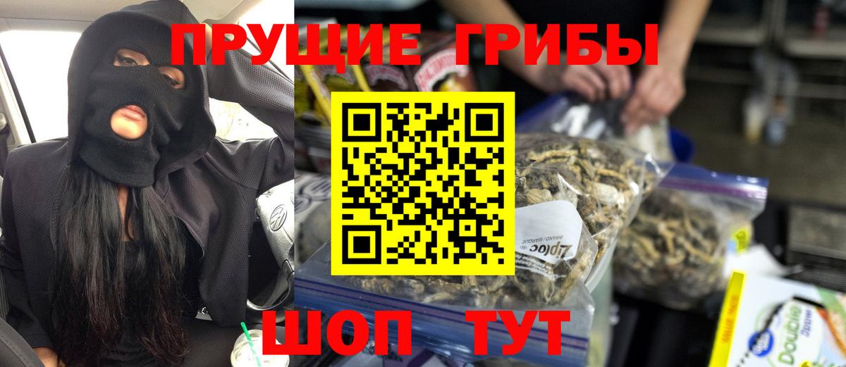Галлюциногенные грибы прущие грибы Электрогорск